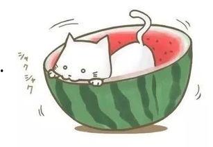 看人吃瓜如见吃瓜,揭秘娱乐圈的“瓜田”奇观