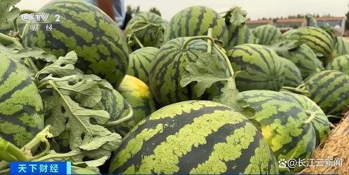 甜甜小念吃瓜,揭秘娱乐圈那些不为人知的幕后故事