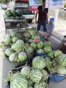 米泉中学事件吃瓜,揭秘校园风波背后的真相