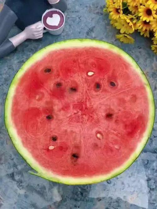 最好的吃瓜神器,畅享瓜界盛宴的秘密武器