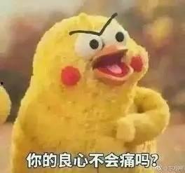 坐看吃瓜,一场别开生面的休闲盛宴