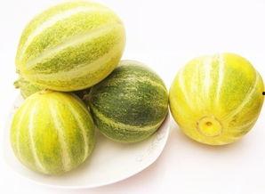 圆的吃的瓜都有啥瓜,探寻圆形瓜果的多样美味