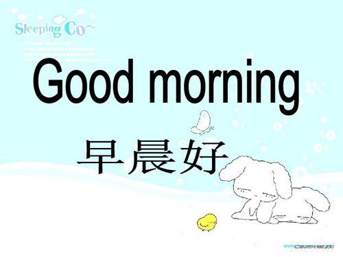good morning 吃瓜,一探“good morning 吃瓜”背后的故事