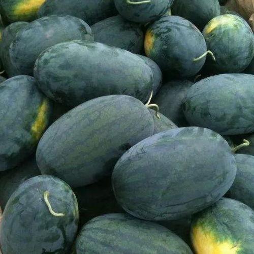 吃瓜赏花的图片