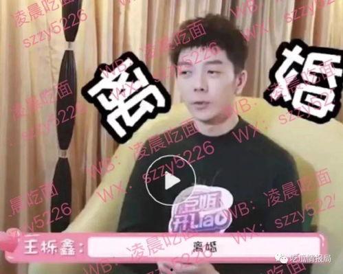 今日份吃瓜少年,吃瓜少年的新鲜资讯大盘点