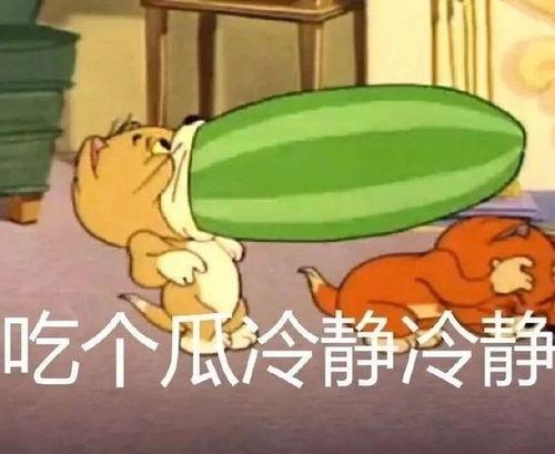 猫和老鼠吃瓜视频,一场爆笑的吃瓜大战