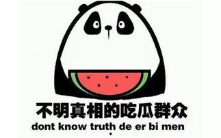 在线吃瓜群,揭秘虚拟世界的社交狂欢