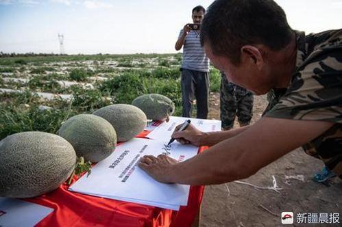 凌晨吃瓜好吗,揭秘深夜娱乐背后的真相