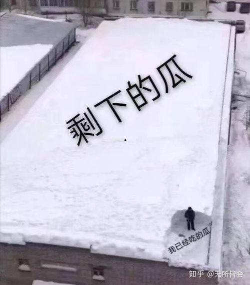 吃瓜在前线,娱乐圈幕后真相大曝光