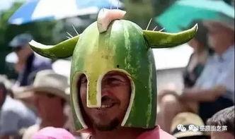 吃瓜博主卡,揭秘网红背后的秘密生活