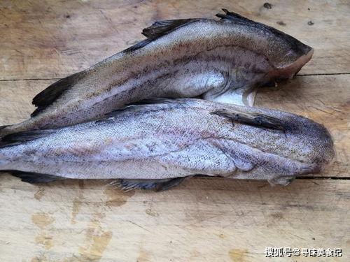 瓜哥吃瓜绿头鱼图片,一场视觉与味蕾的双重盛宴