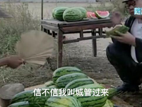 遇见理性吃瓜,揭秘网络舆论背后的真相