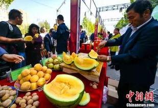 长沙民政吃瓜跳舞,吃瓜群众围观校园新风尚