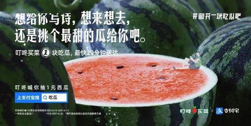 冲凉吃瓜文案,夏日清凉生活新体验