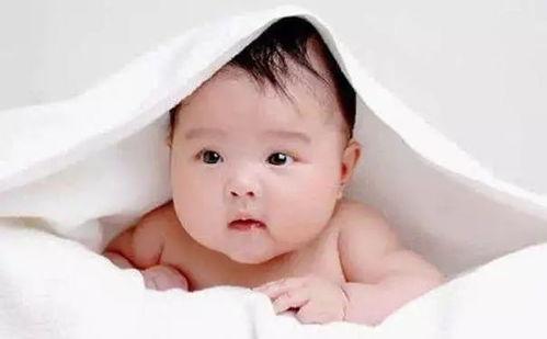 吃瓜 婴儿引产,揭秘婴儿饮食中的奇妙现象