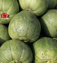 芝麻瓜香瓜怎么吃,夏日清新美食新体验