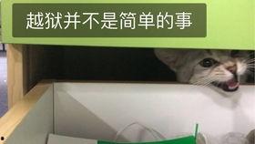 别人打架吃瓜,围观群众纷纷“吃瓜”