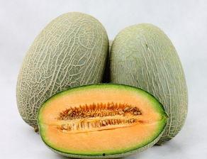 哈密瓜喝啥不能一起吃,揭秘哪些饮品不宜与哈密瓜同食