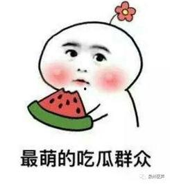 大院媳妇吃瓜日常 小说,揭秘日常琐事中的喜怒哀乐