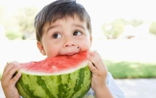 云木吃瓜云盘,揭秘云端娱乐新体验