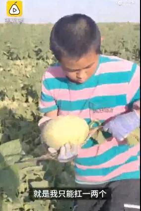 13岁男孩吃瓜,揭秘瓜果背后的奇妙世界