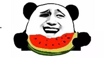 少年吃瓜吗,揭秘青少年吃瓜现象背后的心理与社会因素