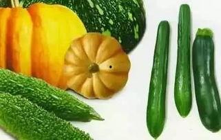 春山集吃瓜,一场别开生面的吃瓜盛宴