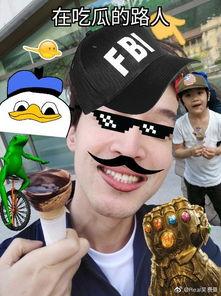 吃瓜路人外国,外国视角下的中国网络文化观察