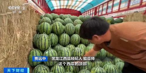 吃瓜为升职,如何在职场中巧妙“吃瓜”实现升职加薪