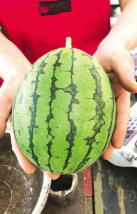 济南近期吃瓜事件