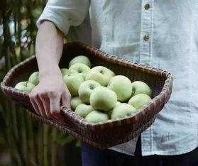 崇州捷普吃瓜,揭秘背后的真相与影响