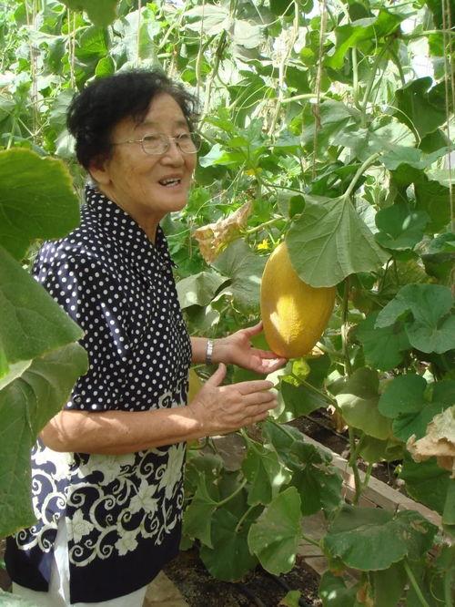 半田策划吃瓜,揭秘吃瓜群众的狂欢盛宴