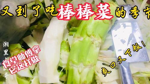 奉节老师 吃瓜,揭秘校园里的那些“瓜”